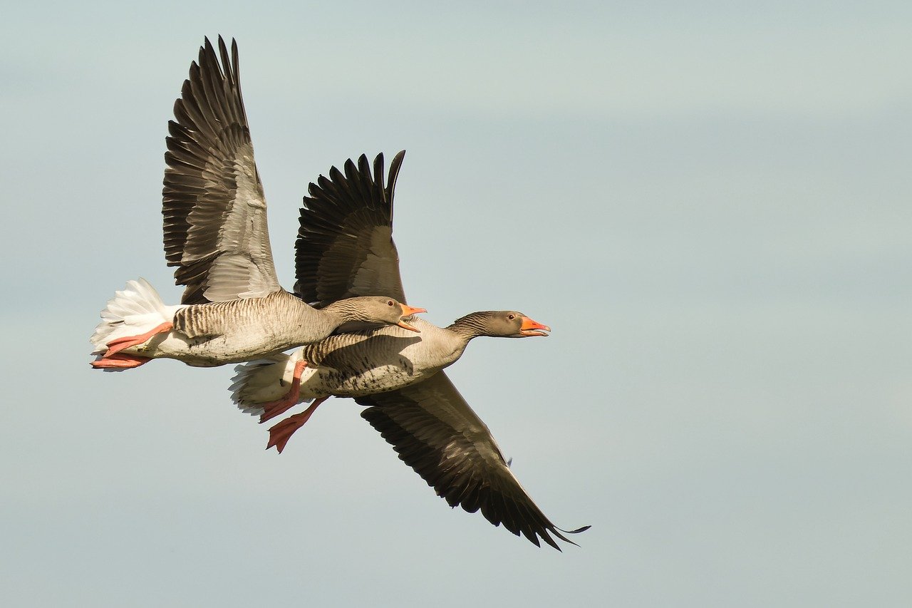 Can Confidence Increase Your Chances at Promotions?